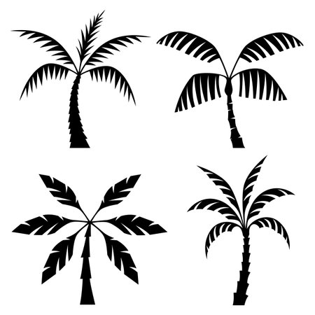 palm tree silhouette, black simple pictogram on white backgroundのイラスト素材