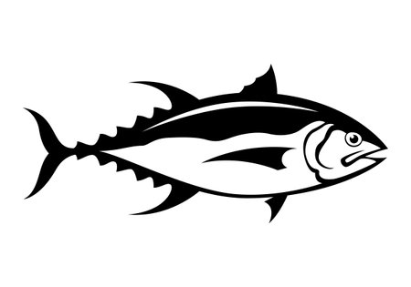 Tuna fish side drawing, black sea fish graphics, vectorのイラスト素材