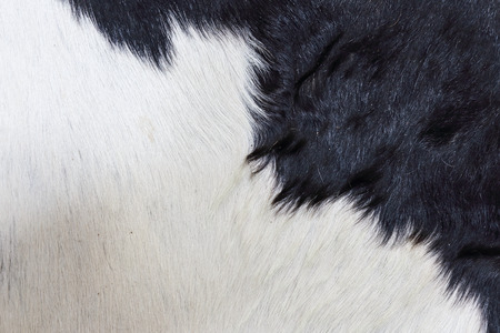 Wool textureの写真素材