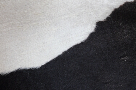 Wool textureの写真素材