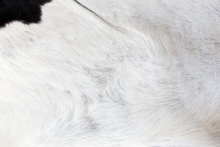 Wool textureの写真素材