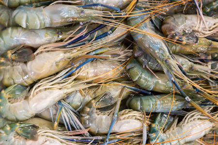 Raw shrimps for sale on the market