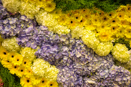 Various color flower background wallの写真素材