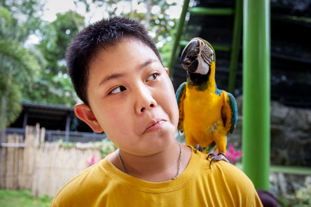 Red Macaw Bird (Bird Scarlett Macaw) with the children.