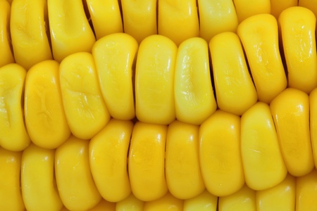 corn skin