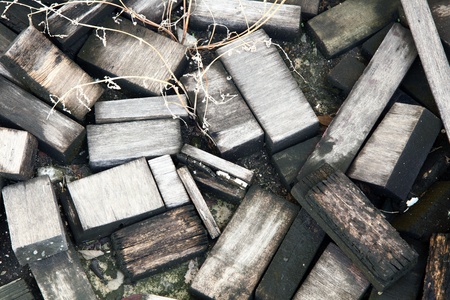 Old wood chips.の写真素材