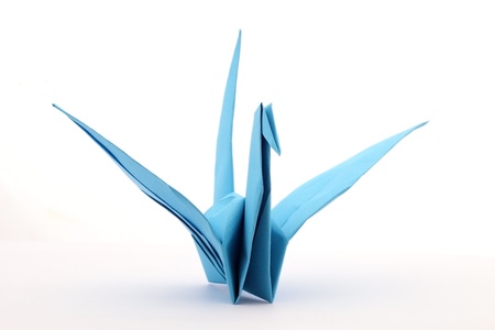 paper Birdの写真素材