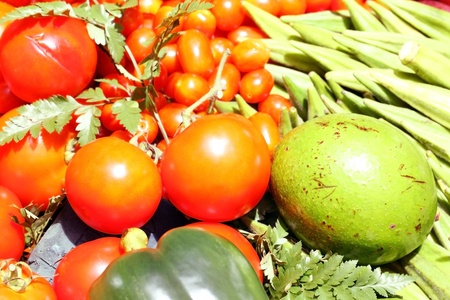  crop in thailand