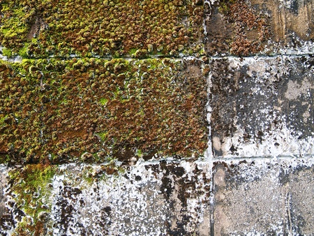 old wallの写真素材