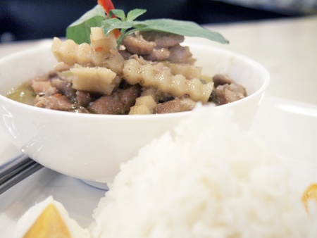 Thai chicken curry の写真素材