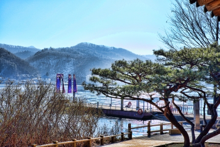 Nami Island Koreaの写真素材