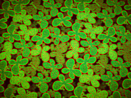 art abstract in green  pattern background