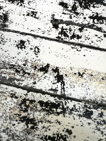 Old wooden floors, white paintedの写真素材