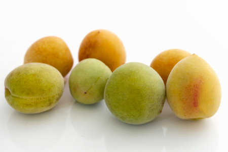 plum on a white backgroundの写真素材