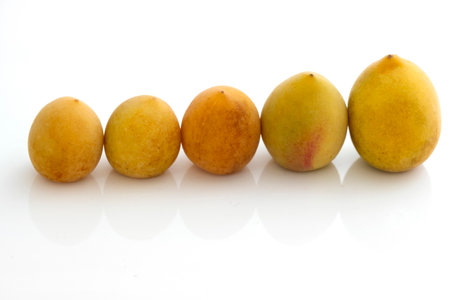 plum on a white backgroundの写真素材