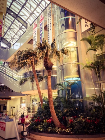 Miyazaki airport, Miyazaki station airport japan.の素材