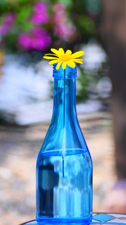 Yellow flower in blue bottleの素材