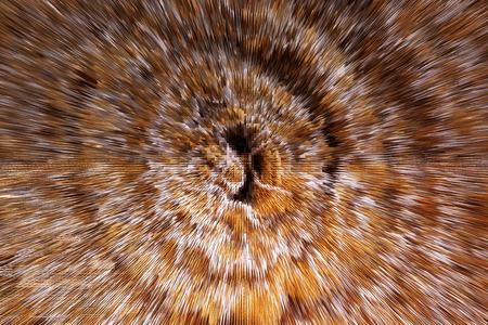 abstract extrude pyramids texture background brown colorの写真素材