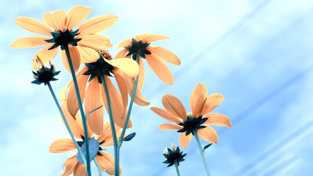 close up vintage stylized  lovely yellow flowerの写真素材