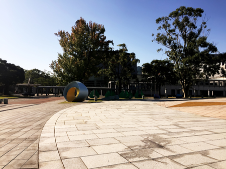 crisply morning sun and powerful luscious green trees in japan parkの写真素材