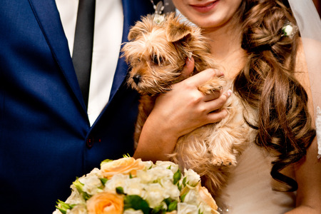 wedding bouquetの写真素材