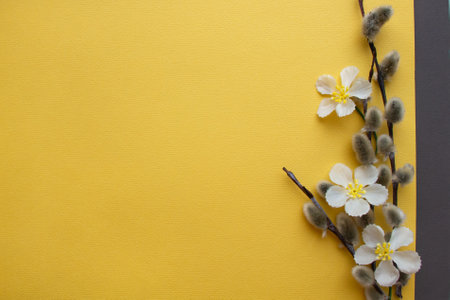 Easter flowers and pussy willow branches on a light background