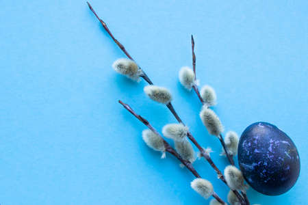 Easter eggs in blue lie on a blue background.の写真素材