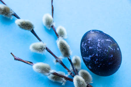 Easter eggs in blue lie on a blue background.の写真素材