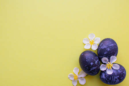 Easter eggs in blue lie on a yellow background. Flowersの写真素材