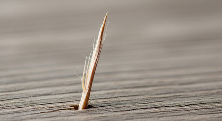 Natural Material Texture Background Collection