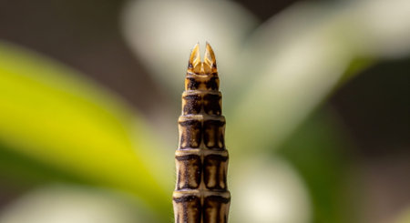 Close-up of a plant stem with intricate patterns and textures, set against a blurred green background.
