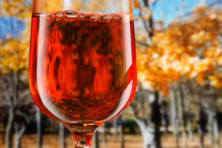 Red wine in a glassの写真素材