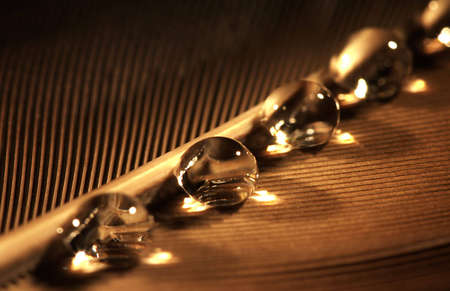 Close-up of water droplets on a featherの写真素材