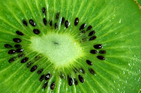 Close-up of kiwi sliceの写真素材