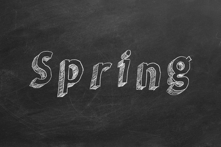 Springの写真素材