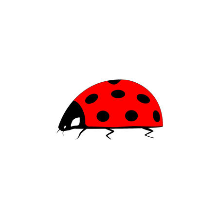 Ladybird isolated. Illustration ladybug on white background. Cute colorful sign red insect symbol spring, summer, garden. Template for t shirt, apparel, card, poster Design element Vector illustrationのイラスト素材