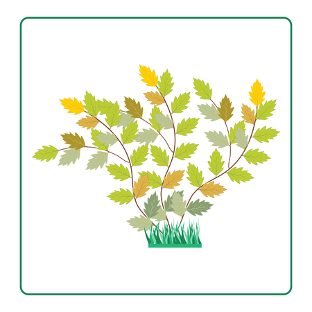 Twig colorful in frame. Fashion graphic background design. Modern stylish abstract texture. Color template bush for prints, textiles, wrapping, wallpaper, website. Design element. Vector illustrationのイラスト素材