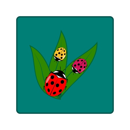 Ladybird icon. Illustration ladybug in green square. Cute colorful sign red insect symbol spring, summer, garden. Template for t shirt, apparel, card, poster Design element Vector illustrationのイラスト素材