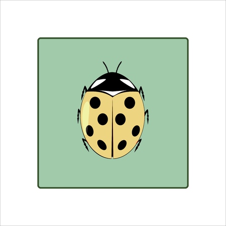 Ladybird icon. Illustration ladybug in green square. Cute colorful sign yellow insect symbol spring, summer, garden. Template for t shirt, apparel, card, poster. Design element. Vector illustrationのイラスト素材