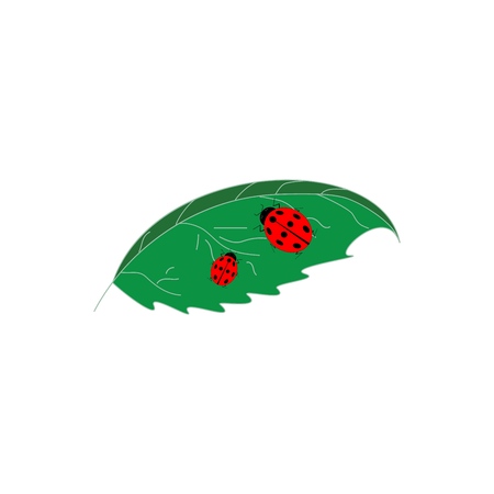 Illustration color ladybird silhouette on green leaf. Cute colorful sign red insect symbol spring, summer, garden. Template for t shirt, apparel, card, poster. Design element Vector illustrationのイラスト素材