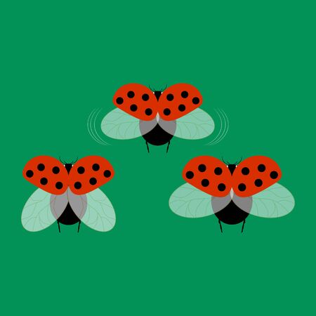 Ladybird card. Illustration ladybug. Cute colorful sign red insect symbol spring, summer, garden. Template for t shirt, apparel, card, poster, etc. Design element Vector illustrationのイラスト素材