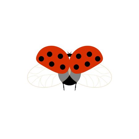 Ladybird isolated. Illustration ladybug fly. Cute colorful sign red insect symbol spring, summer, garden. Template for t shirt, apparel, card, poster, etc. Design element Vector illustrationのイラスト素材