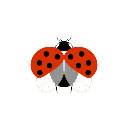 Ladybug isolated. Illustration ladybird fly. Cute colorful sign red insect symbol spring, summer, garden. Template for t shirt, apparel, card, poster, etc. Design element Vector illustrationのイラスト素材