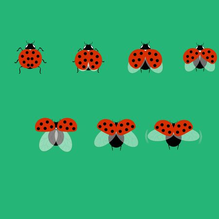 Ladybirds set. Illustration ladybug. Cute colorful sign red insect symbol spring, summer, garden. Template for t shirt, apparel, card, poster, etc. Design element Vector illustrationのイラスト素材