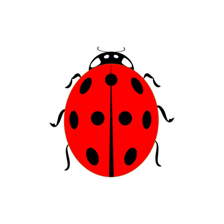 Ladybird isolated. Illustration ladybug. Cute colorful sign red insect symbol spring, summer, garden. Template for t shirt, apparel, card, poster, etc. Design element Vector illustrationのイラスト素材