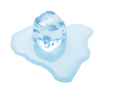 ice cube is in a puddle of water