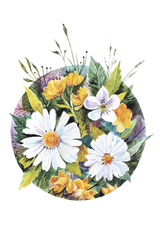 Vector illustration of daisies and other wildflowers made in watercolor techniqueのイラスト素材