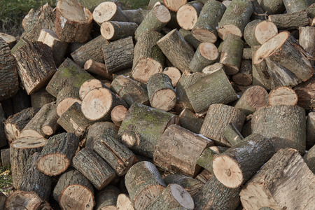 pictures wood, firewood , texture shooting in ukraineの写真素材