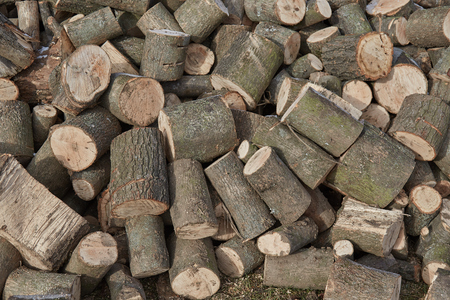 pictures wood, firewood , texture shooting in ukraineの写真素材