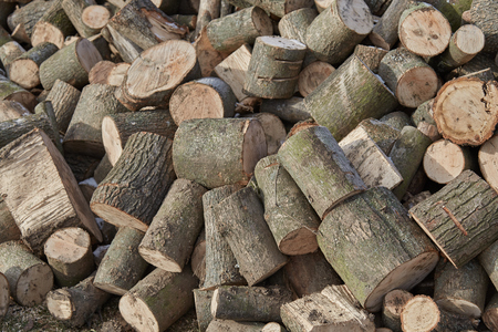 pictures wood, firewood , texture shooting in ukraineの写真素材